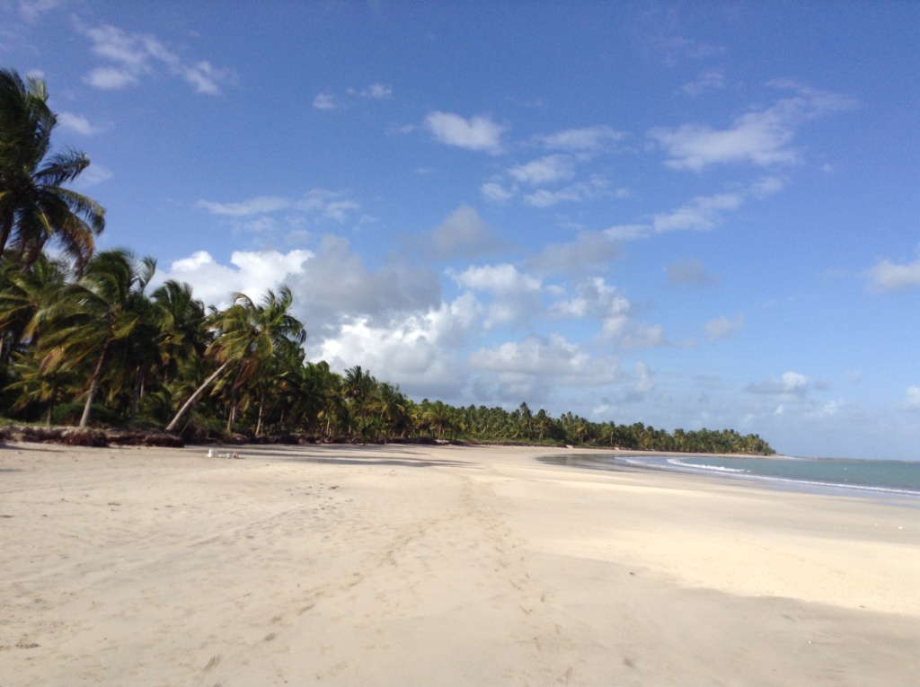 Best beaches of Maceio - Hibiscus